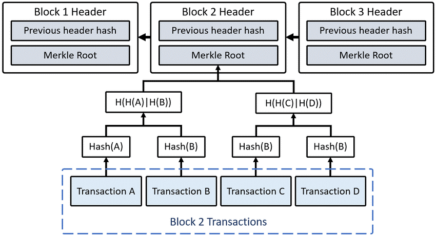 TRUSTING A TRUSTLESS NETWORK. The Paradoxes of Trust in Blockchain ...